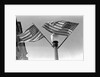 Flags on Lightpost by Anonymous