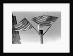Flags on Lightpost by Anonymous