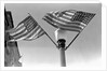 Flags on Lightpost by Anonymous