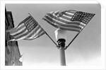 Flags on Lightpost by Anonymous