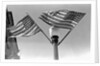 Flags on Lightpost by Anonymous
