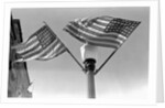 Flags on Lightpost by Anonymous