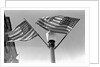 Flags on Lightpost by Anonymous