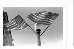 Flags on Lightpost by Anonymous