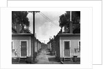 Mill Houses by Anonymous