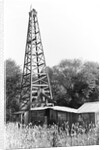 Abandoned Oil Derrick by Anonymous
