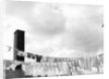 Laundry Drying on Clotheslines by Anonymous