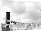 Laundry Drying on Clotheslines by Anonymous
