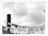 Laundry Drying on Clotheslines by Anonymous