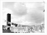 Laundry Drying on Clotheslines by Anonymous