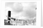 Laundry Drying on Clotheslines by Anonymous