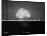 Nuclear Explosion at Trinity Site by Anonymous