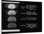 Nuclear Explosion at Trinity Site by Anonymous