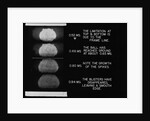 Nuclear Explosion at Trinity Site by Anonymous