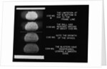 Nuclear Explosion at Trinity Site by Anonymous