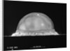 Trinity Fireball at .025 of a Second by Anonymous