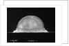 Trinity Fireball at .025 of a Second by Anonymous