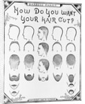 How Do You Want Your Hair Cut? by A. J. Cole