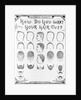 How Do You Want Your Hair Cut? by A. J. Cole