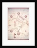 Vellum Chart of Italy and Central Mediterranean by Oliva