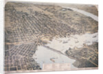 Bird's Eye View of Jacksonville by Anonymous