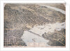 Bird's Eye View of Jacksonville by Anonymous
