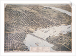 Bird's Eye View of Jacksonville by Anonymous