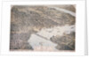Bird's Eye View of Jacksonville by Anonymous