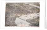 Bird's Eye View of Jacksonville by Anonymous