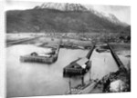 Arriving in Skagway by Anonymous