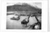 Arriving in Skagway by Anonymous