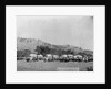 Wagon Train in the Black Hills by Anonymous