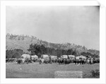 Wagon Train in the Black Hills by Anonymous