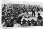 Cockfighting in New Orleans by Anonymous