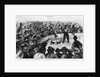 Cockfighting in New Orleans by Anonymous