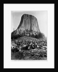 Devil's Tower, Wyoming by Anonymous