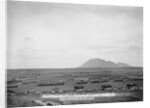 Fort Meade by Anonymous