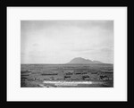 Fort Meade by Anonymous