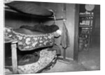 Bunkrooms in New York Tenement House by Anonymous