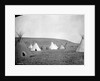 Atsina Camp Scene by Edward S. Curtis