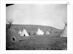 Atsina Camp Scene by Edward S. Curtis