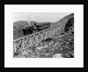 Railroad Climbing Mount Washington by Anonymous