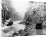 Tourists in Yellowstone National Park by Anonymous
