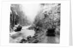 Tourists in Yellowstone National Park by Anonymous