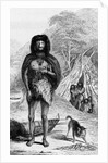 Fuegian (Yapoo Tekeenika). (Natives of Tierra del Fuego.) Frontispiece of Native of the Surveying Voyage 1839 by Anonymous