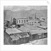 View of Virginia City from the International Hotel by Anonymous