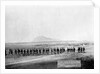 U.S. Infantry Marching near Fort Meade by Anonymous