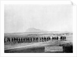 U.S. Infantry Marching near Fort Meade by Anonymous