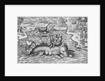 King and his Advisers Riding on the Back of a sea Monster by Anonymous