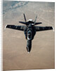 Modified NASA F-18 in Flight by Anonymous